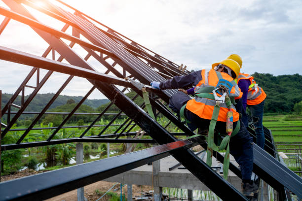 Roof Gutter Cleaning in Morton, PA